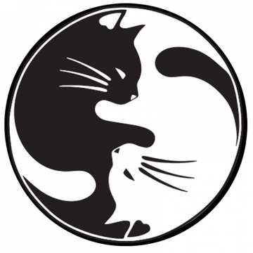 Patch Ying Yang Cat