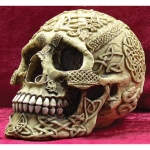 Skull Celtic