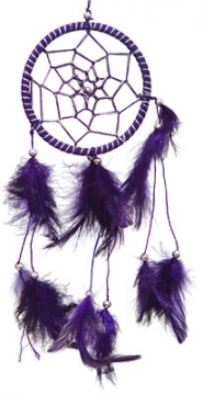 Dream Catcher Purple (silver strings)