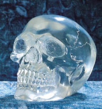 Skull Small Translucent