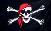 Flag Pirate 3X5